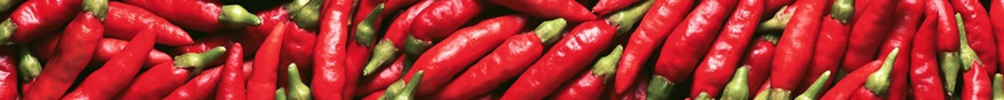 Premium Hot Sauce